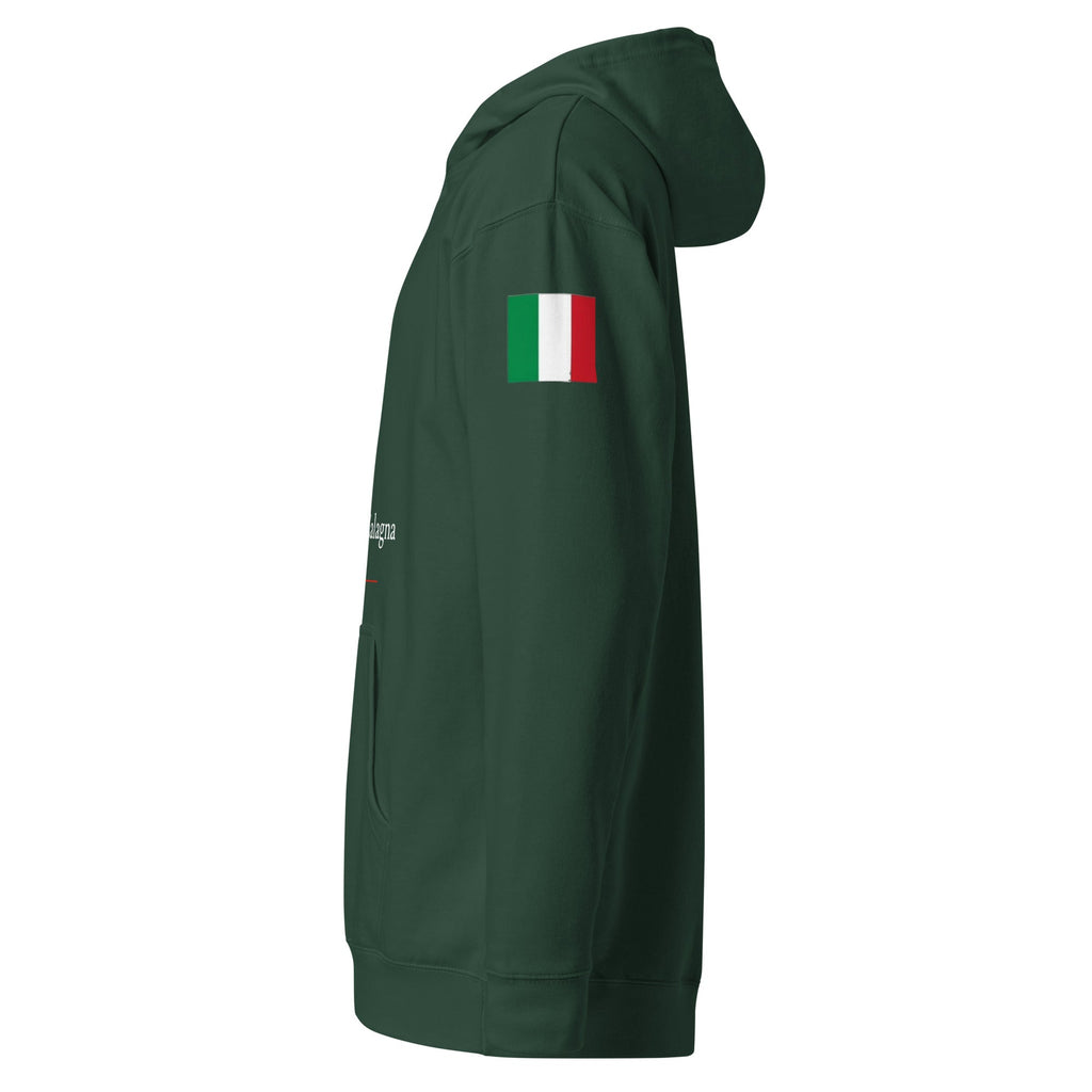 Unisex midweight hoodie