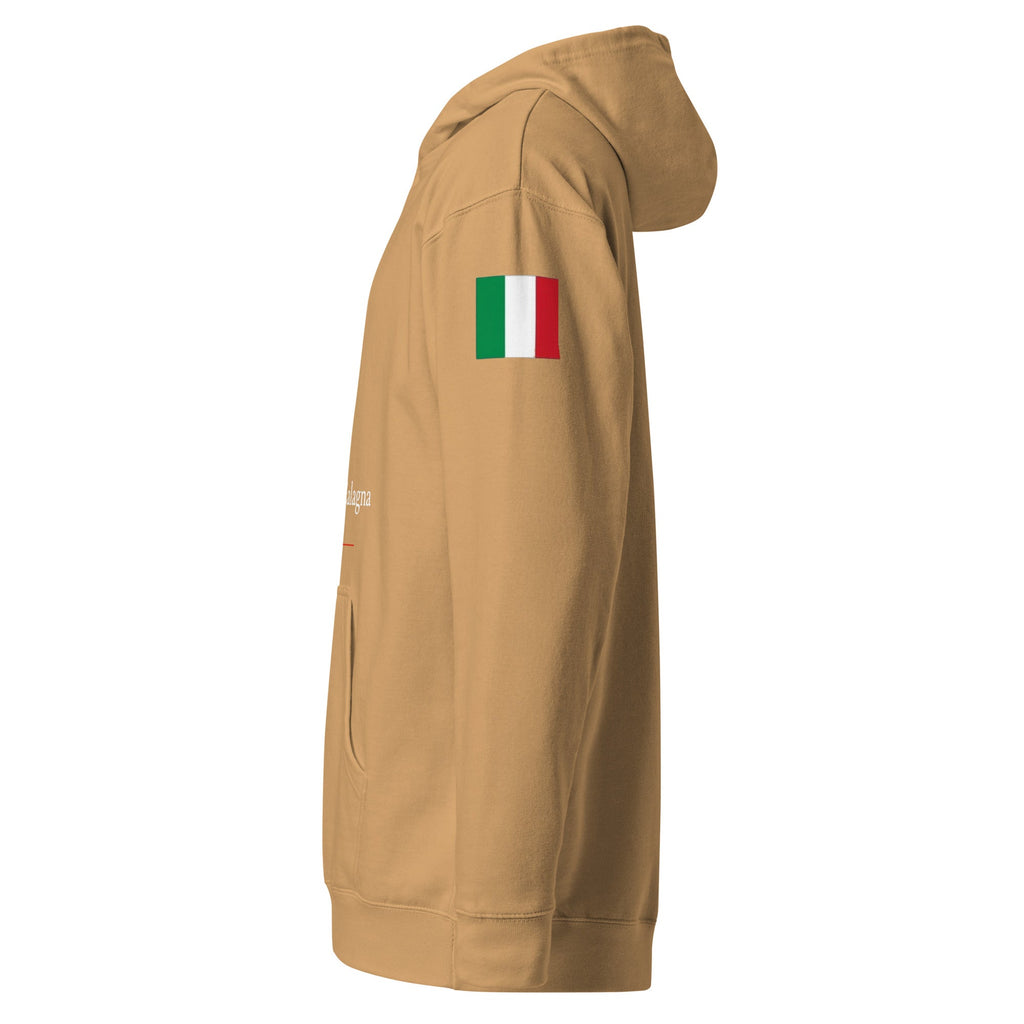 Unisex midweight hoodie